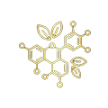 Polifenoli