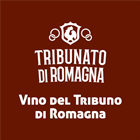 Vino del tribuno - Faenza, 2016
